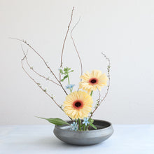 Load image into Gallery viewer, Minoyaki Series Round Ikebana Flower Vase - Sumi