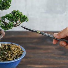 Load image into Gallery viewer, Spear Shaped Bonsai Chisel 7.2" (185 mm) - Wazakura Japan