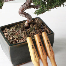 Load image into Gallery viewer, 3PCS 1.5mm Woodworking Chisel Kit - Wazakura Japan