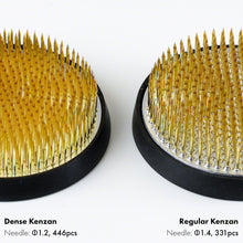 Load image into Gallery viewer, comparison between the needle of the dense kenzan and regular kenzan