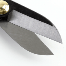 Laden Sie das Bild in den Galerie-Viewer, Close up on Ikenobo Scissors Blades