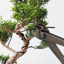 Load image into Gallery viewer, Black Aluminum Bonsai Training Wire 150g, 1mm - 6mm - Wazakura Japan