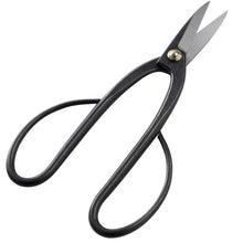 Laden Sie das Bild in den Galerie-Viewer, Ashinaga bonsai scissors slighly open on a white background