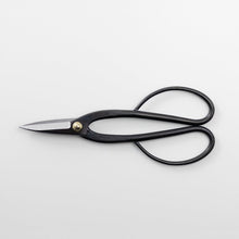 Laden Sie das Bild in den Galerie-Viewer, Horizontal view of the Ashinaga bonsai scissors