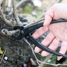 Load image into Gallery viewer, Hand Forged Bonsai Tree Trunk Splitter 8.25"(210mm) - Wazakura Japan
