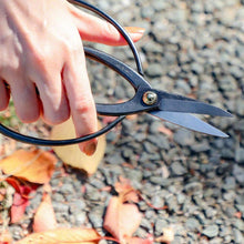 Load image into Gallery viewer, hand holding traditional bonsai with blades slighlty opened