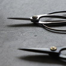 Load image into Gallery viewer, Close up on two Traditional Scissors blades