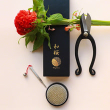 Load image into Gallery viewer, Ikebono Scissors with Round Brass Kenzan and needle Care tool