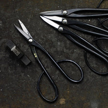 Load image into Gallery viewer, Set of Yasugi Satsuki Scissors with Engraving Mold