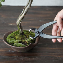 Load image into Gallery viewer, Hand Forged Bonsai Root Cutter 8-1/4" (210mm)
