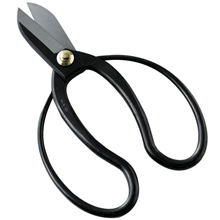 Laden Sie das Bild in den Galerie-Viewer, Koryu Ikebana Scissors on White Background
