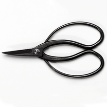 Laden Sie das Bild in den Galerie-Viewer, 2PCS Japanese Bonsai Essential Tool Set [ Traditional Scissors + Concave Cutter ] - Wazakura Japan
