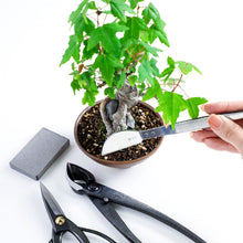 Load image into Gallery viewer, 4PCS Japanese Bonsai Essential Kit [ Scissors + Concave Cutter + Tweezers + Sap Eraser ] - Wazakura Japan

