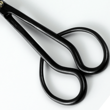 Load image into Gallery viewer, Bonsai Trimming and Care Kit [ Satsuki Bonsai Scissors + Sap Rust Eraser Set ] - Wazakura Japan
