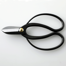 Laden Sie das Bild in den Galerie-Viewer, horizontal view of the Koryu Ikebana Scissors
