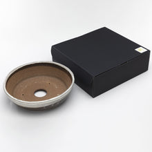 Load image into Gallery viewer, [ Shigaraki Series ] White Stripe Glazed Bonsai Pot 8.2" (210 mm) - Wazakura Japan
