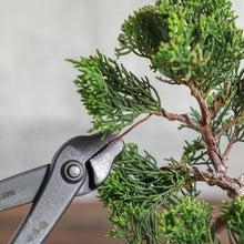 Load image into Gallery viewer, Annealed Copper Bonsai Training Wire 300g, 1.2mm - 2.0mm - Wazakura Japan
