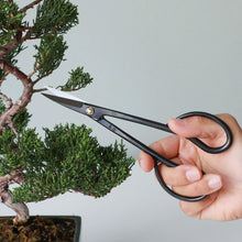 Load image into Gallery viewer, 3PCS Bonsai Garden Tool Starter Kit, Satsuki Model - Wazakura Japan
