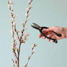 Load image into Gallery viewer, 3PCS Japanese Ikebana Essential Tool Set Ikenobo Round Black Kenzan - Wazakura Japan
