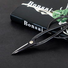 Load image into Gallery viewer, 2PCS Japanese Bonsai Essential Tool Set [ Ashinaga Long Scissors + Concave Cutter ] - Wazakura Japan
