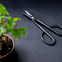 Laden Sie das Bild in den Galerie-Viewer, Bonsai Trimming and Care Kit [ Twig Bonsai Scissors + Sap Rust Eraser Set ] - Wazakura Japan
