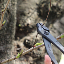 Laden Sie das Bild in den Galerie-Viewer, 2PCS Japanese Bonsai Wiring Tool Set [ Wire Cutter + Bonsai Pliers ] - Wazakura Japan
