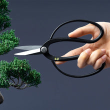 Load image into Gallery viewer, Handling Yasugi Traditional Scissors Picture
