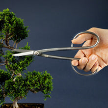 Load image into Gallery viewer, Stainless Yasugi Steel Made in Japan Twig Bonsai Scissors 8.27" - Wazakura Japan
