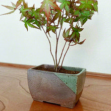 Laden Sie das Bild in den Galerie-Viewer, [ Tokoname Series ] Rectangular Glazed Bonsai Pot 5.3"(135 mm) - Wazakura Japan

