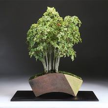 Laden Sie das Bild in den Galerie-Viewer, [ Tokoname Series ] Fan Shaped Bonsai Pot 6.8”(174mm) - Wazakura Japan
