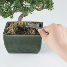 Laden Sie das Bild in den Galerie-Viewer, Bonsai Curved Tip Tweezer with Rake 8.6"(220mm) - Wazakura Japan
