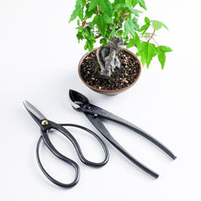 Laden Sie das Bild in den Galerie-Viewer, 2PCS Japanese Bonsai Essential Tool Set [ Traditional Scissors + Concave Cutter ] - Wazakura Japan
