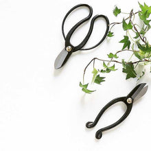 Laden Sie das Bild in den Galerie-Viewer, Ikenobo Scissors with Koryu Scissors
