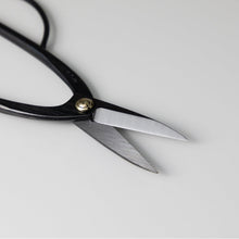 Laden Sie das Bild in den Galerie-Viewer, Blades of the Ashinaga Scissors
