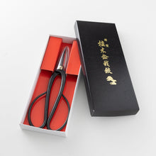 Laden Sie das Bild in den Galerie-Viewer, Ashinaga Bonsai Scissors in their original box

