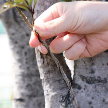 Load image into Gallery viewer, Brown Aluminum Bonsai Training Wire 150g, 1mm - 6mm - Wazakura Japan
